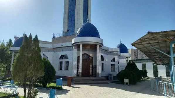 Сіргелі руы туралы ақпарат